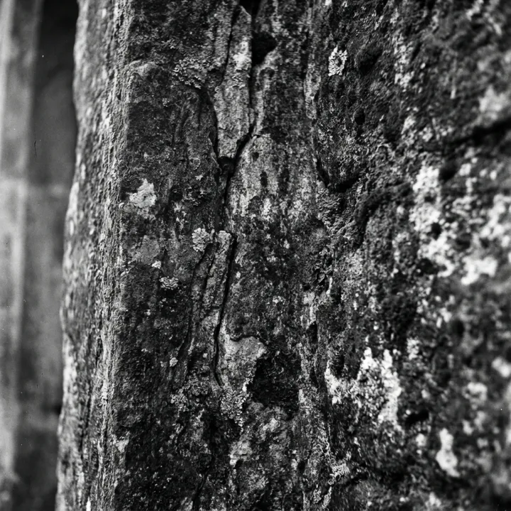 Texture-led product closeups.