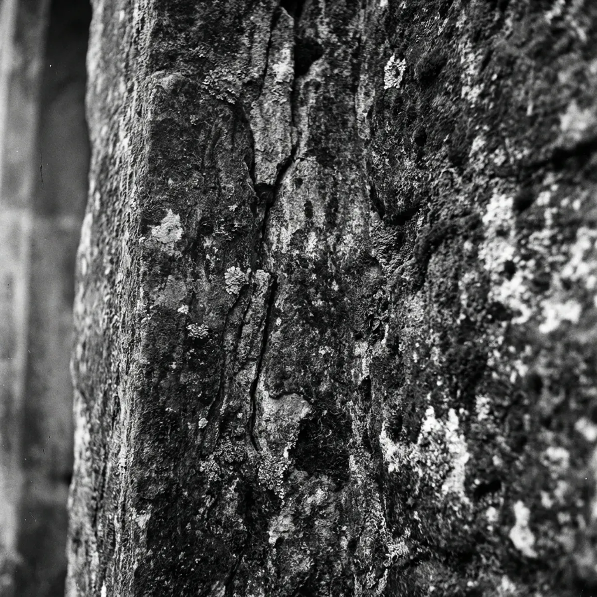 Texture-led product closeups.