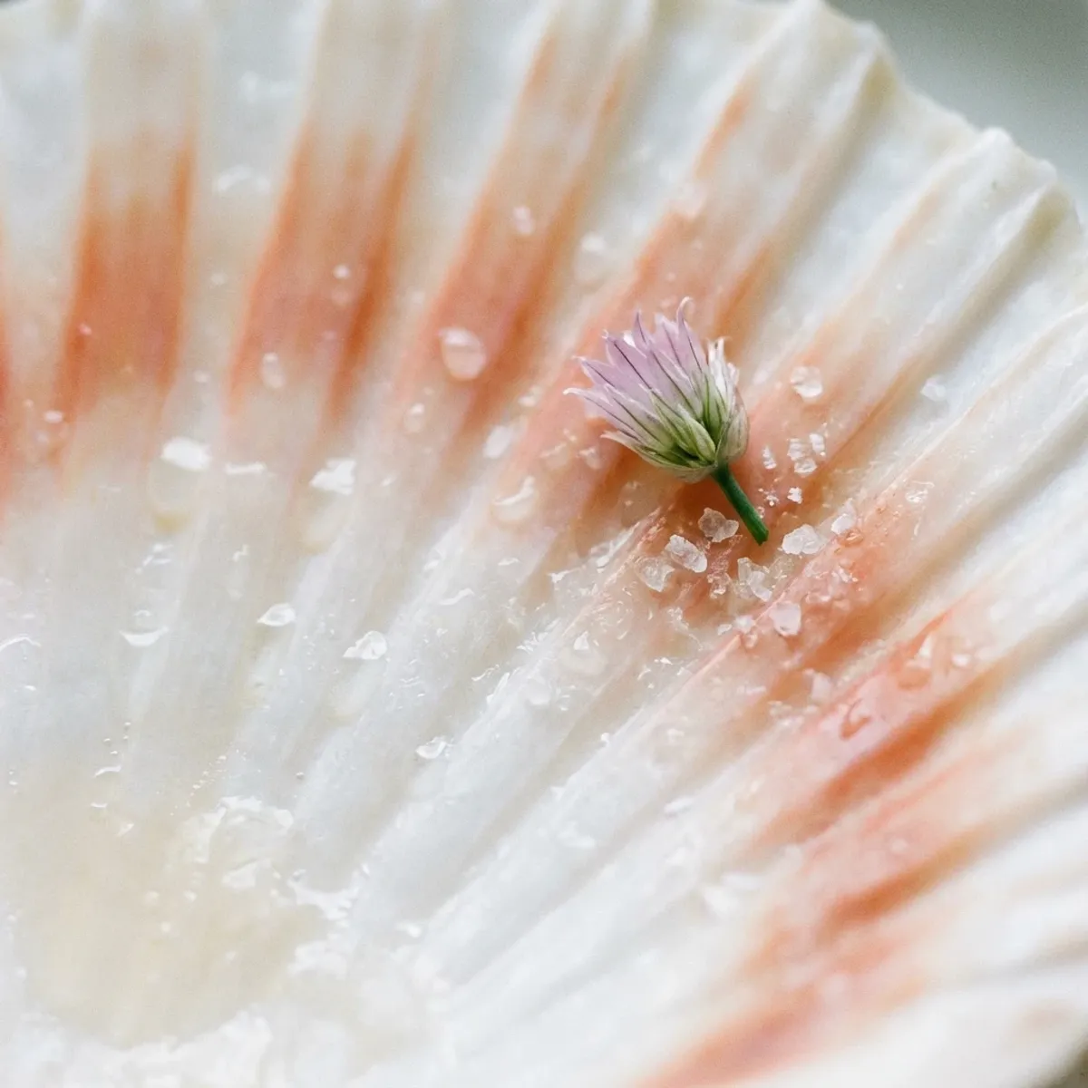 Hero dish with natural light styling.